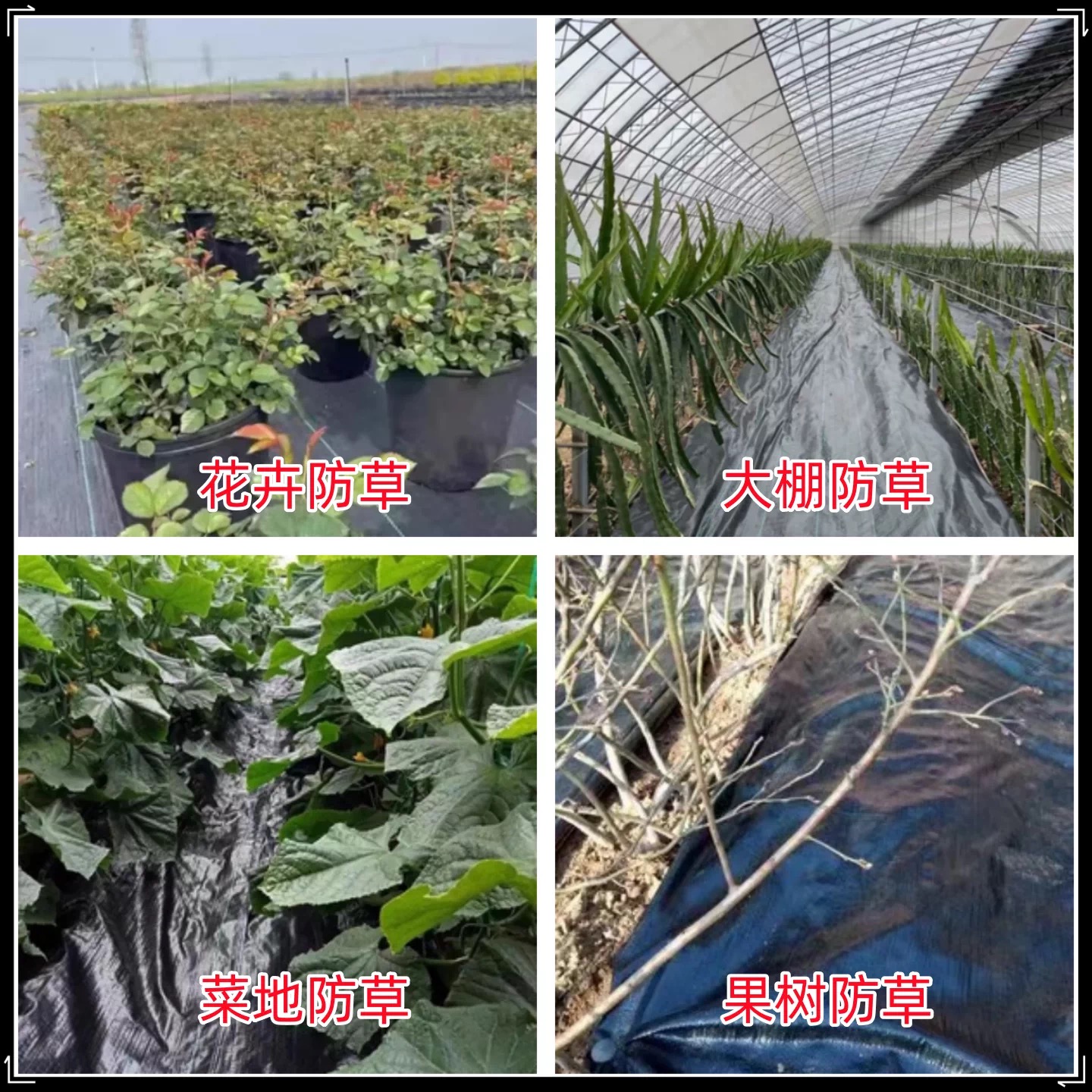 镇江市地膜防草布 - 推荐